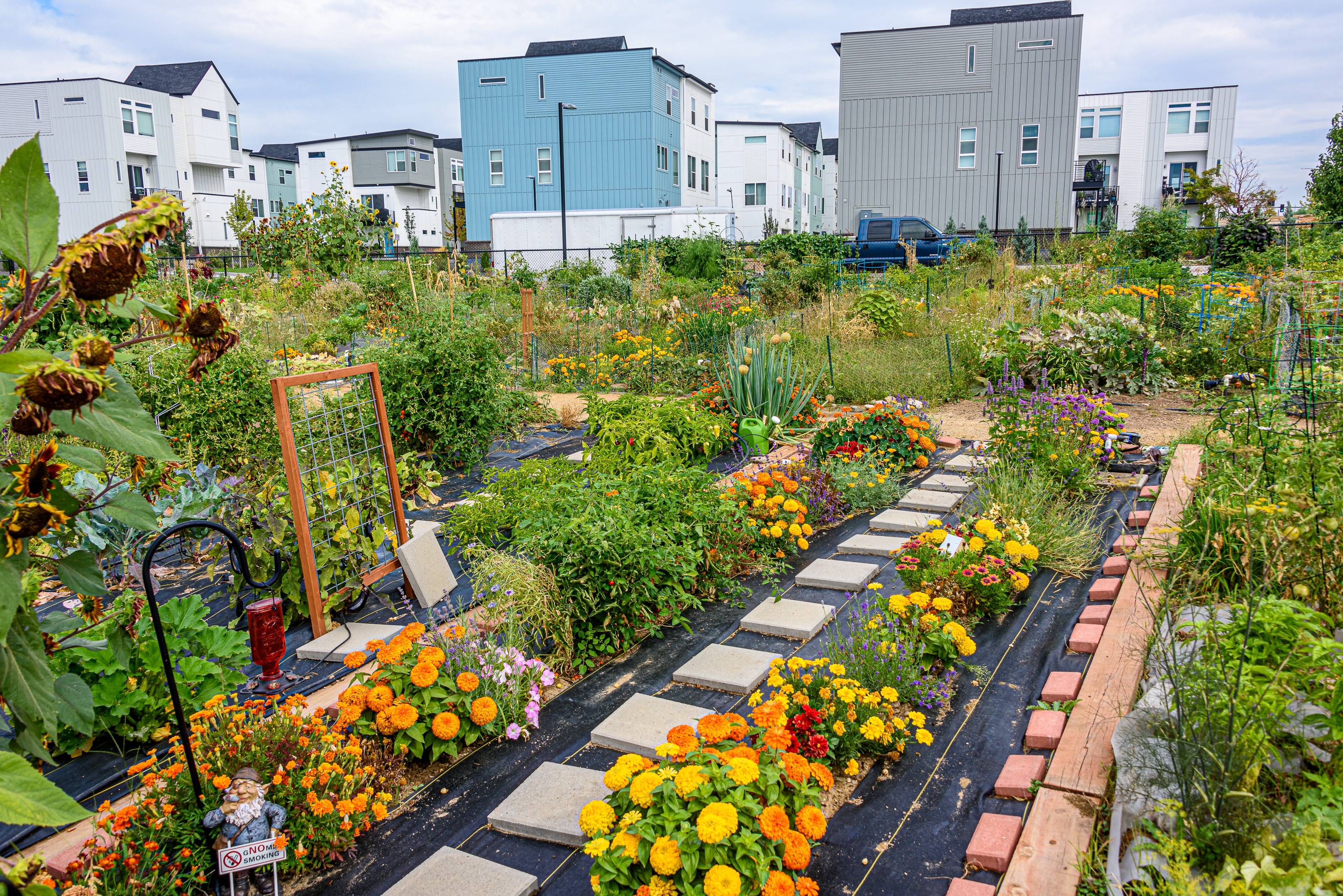 community garden started next to apartments