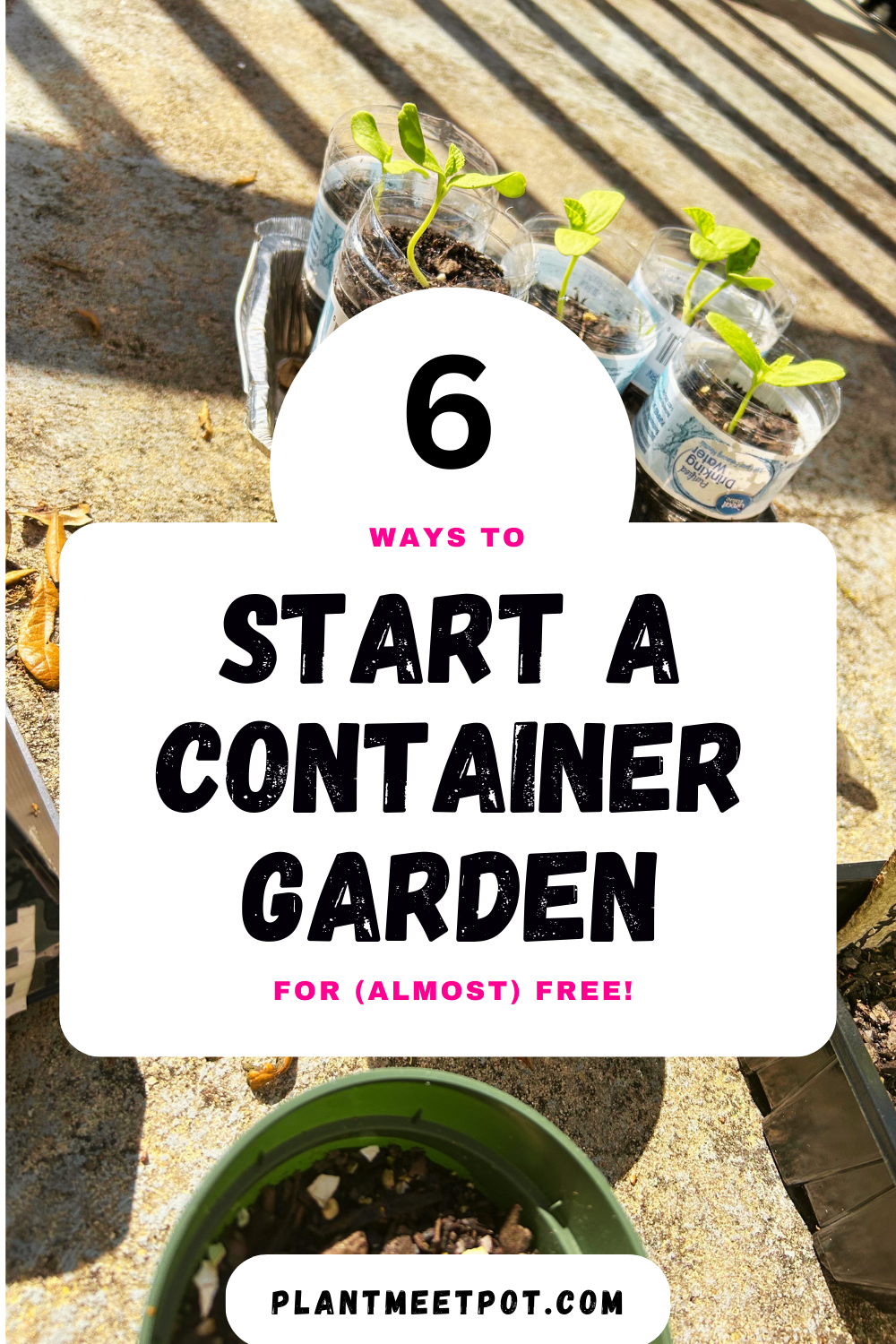 Start a Container Garden for Almost Free