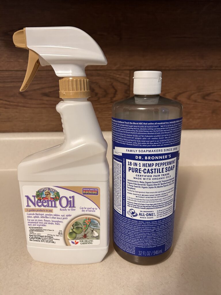 bottle of neem oil and a bottle of peppermint castile soap