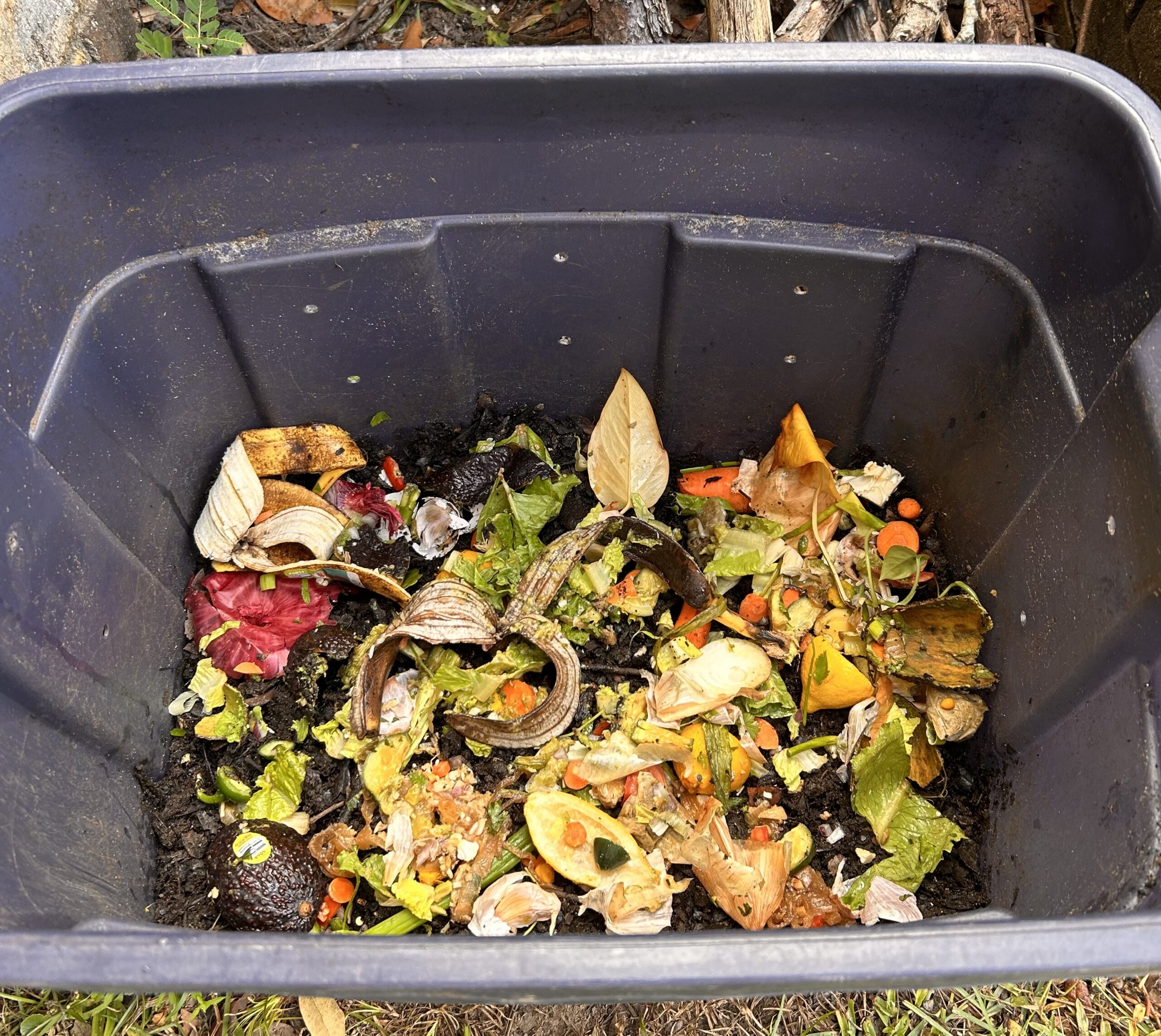 aerial view of compost bin with old food scraps