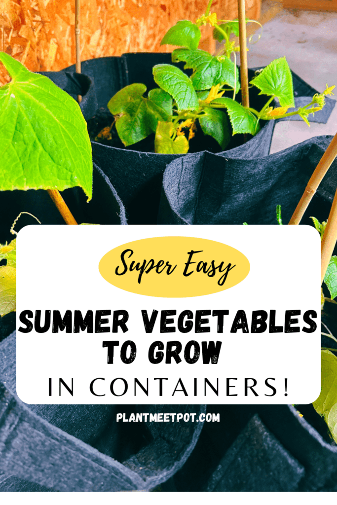 easy summer vegetables to grow in containers