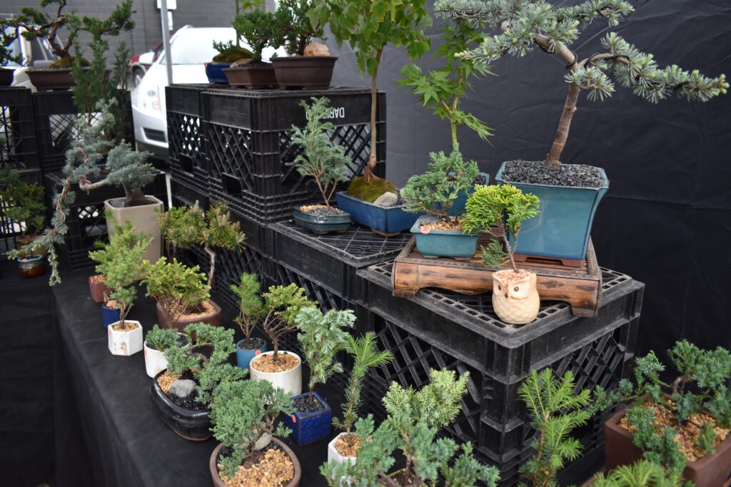 plants sit on top of milk crates