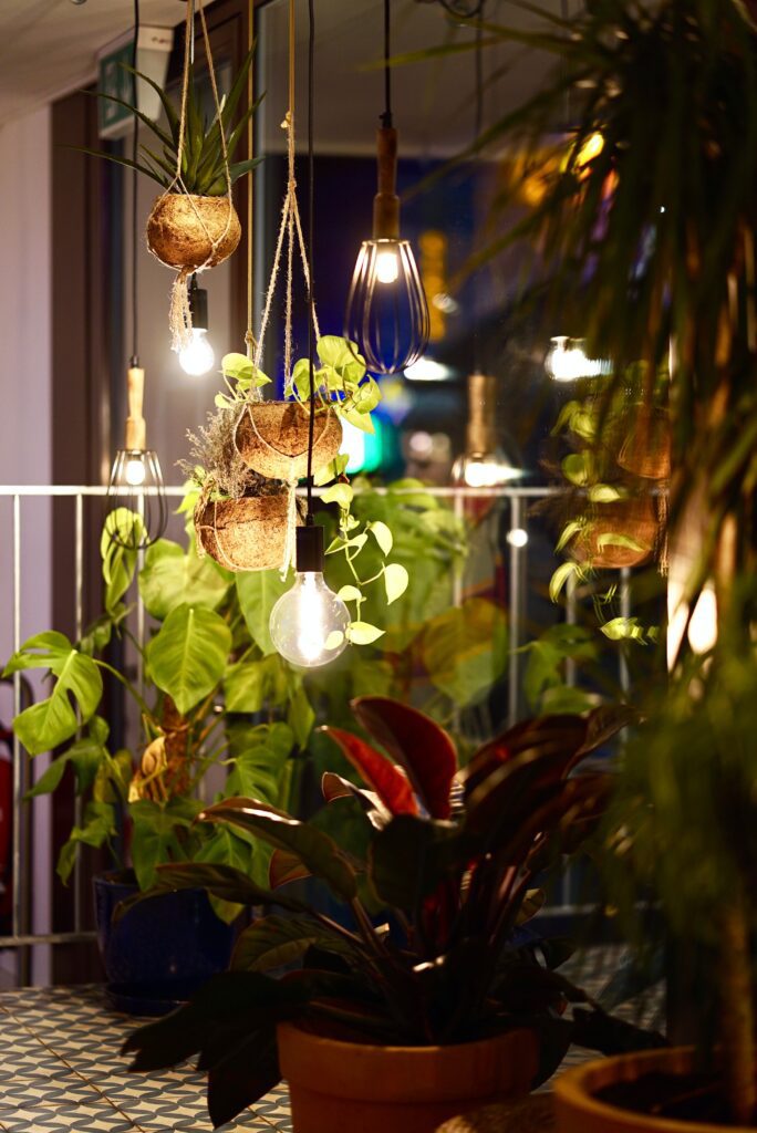 lights and boho planter decor suspend from a ceiling above a balcony with potted plants