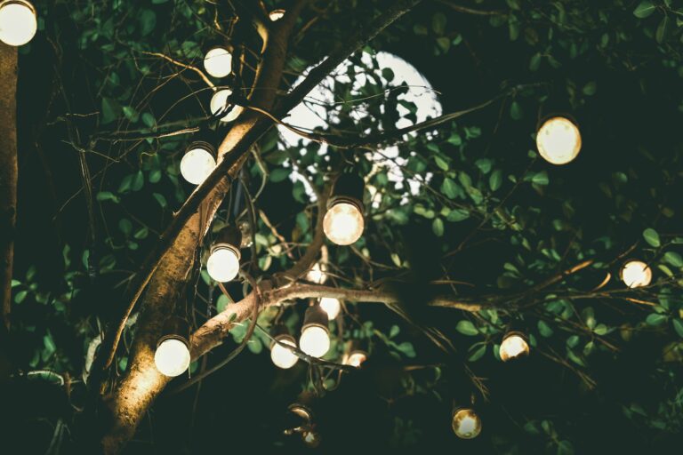 globe lights in tree with moon in the background