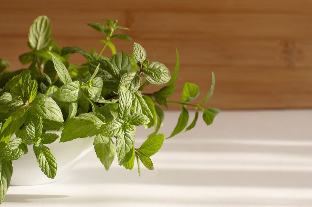 bowl with mint