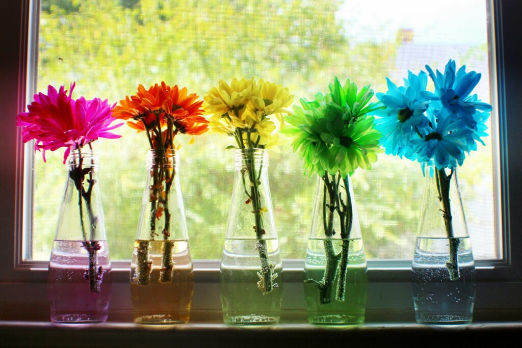 multicolored flowers in vases on a window sill