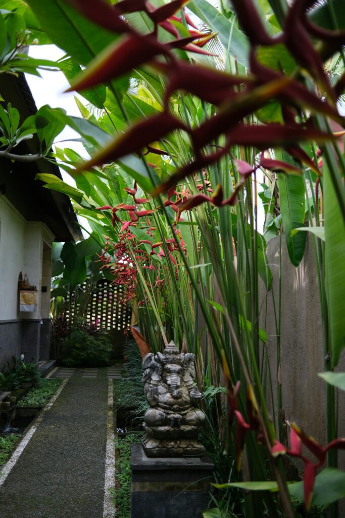 zen garden on side of house