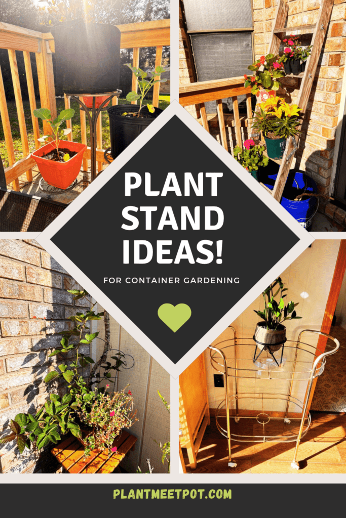 Plant stand ideas