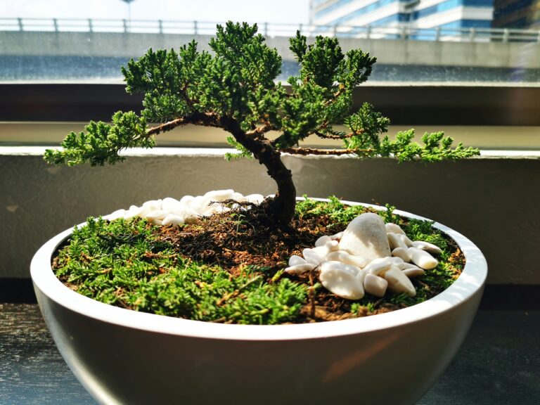 14 Simple Zen Garden Ideas to Add More Relaxation