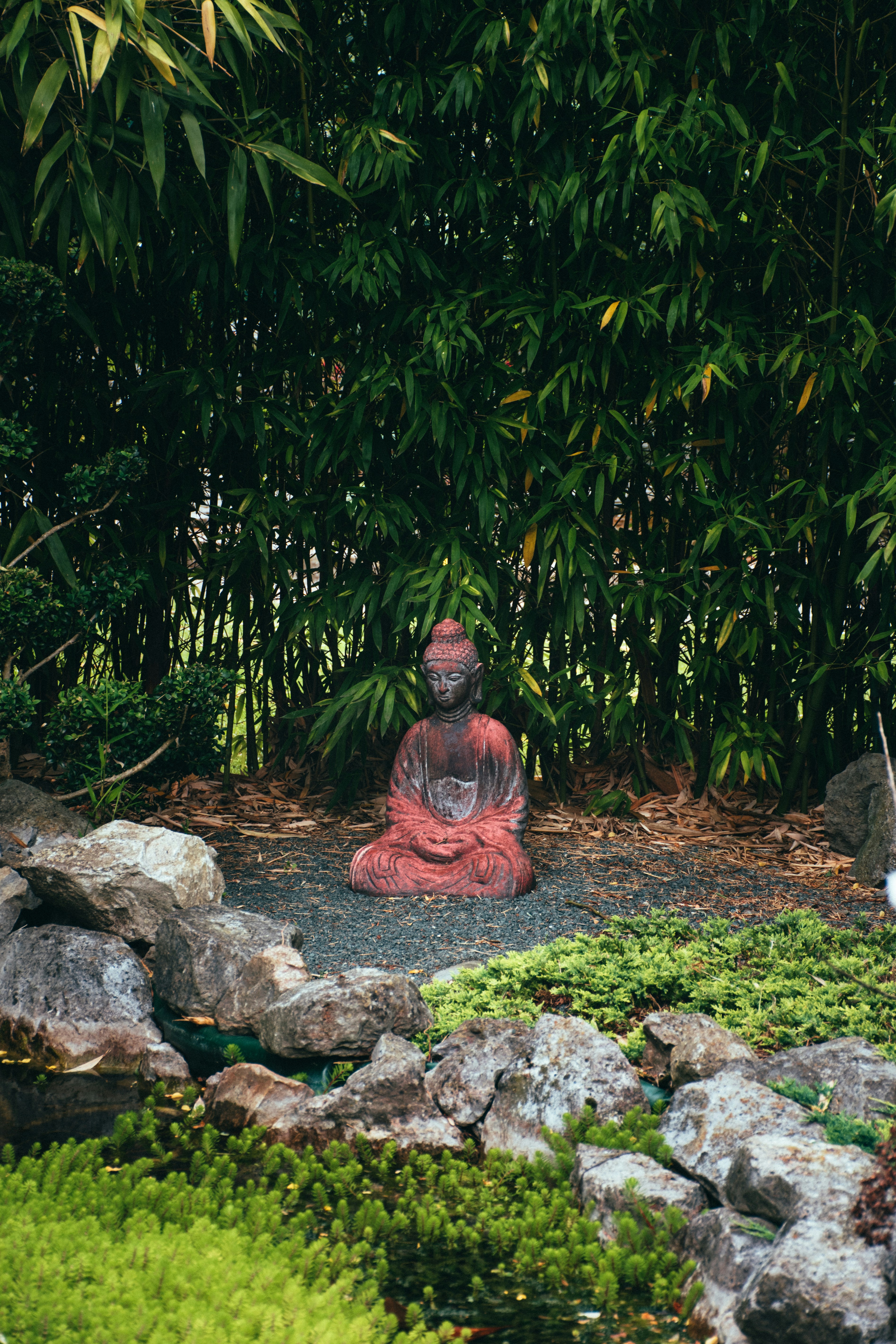 statue among moss and overgrown plants and rocks