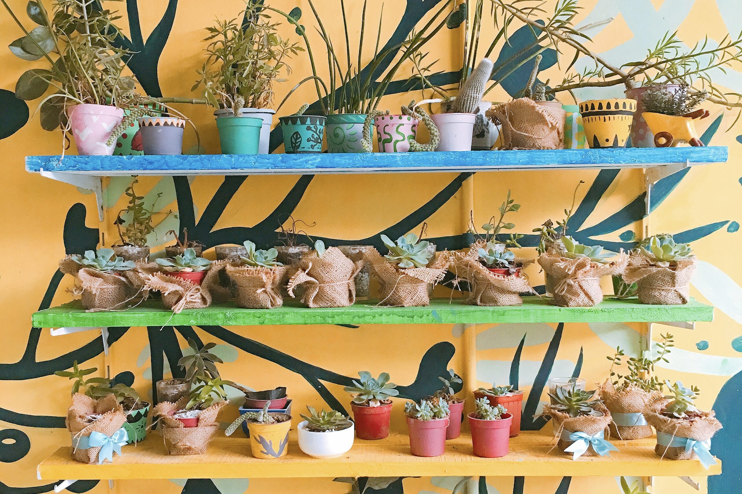 three painted shelves with potted succulents against wall art