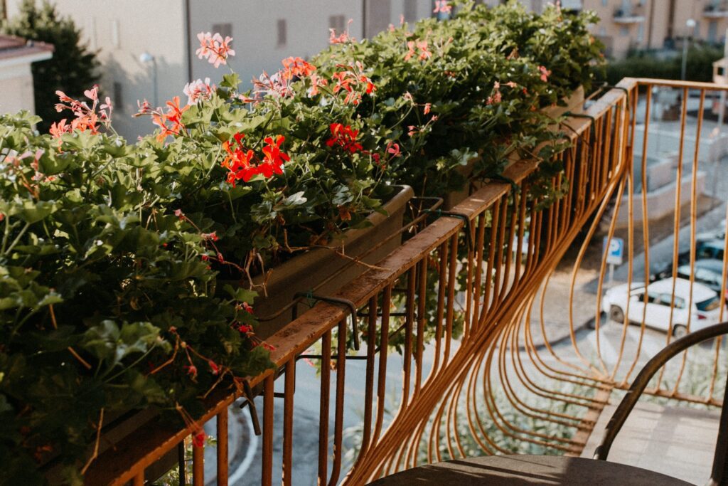 pink and red flowers in railing planters along balcony